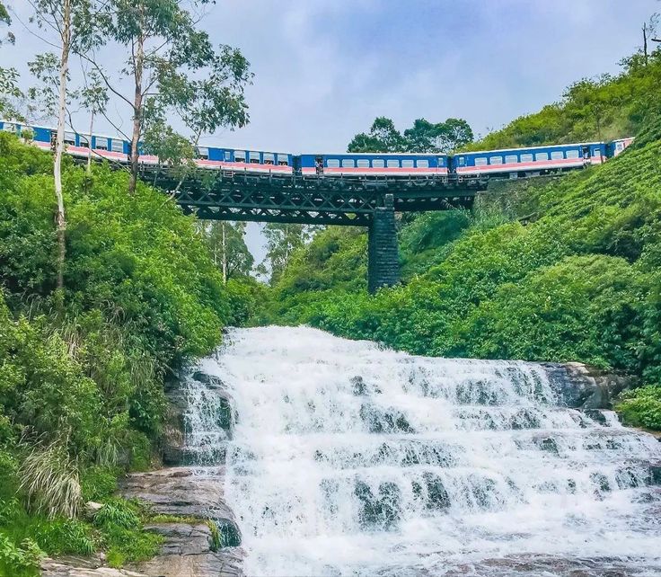 20320e1593764c2fa7525755b301a9f0