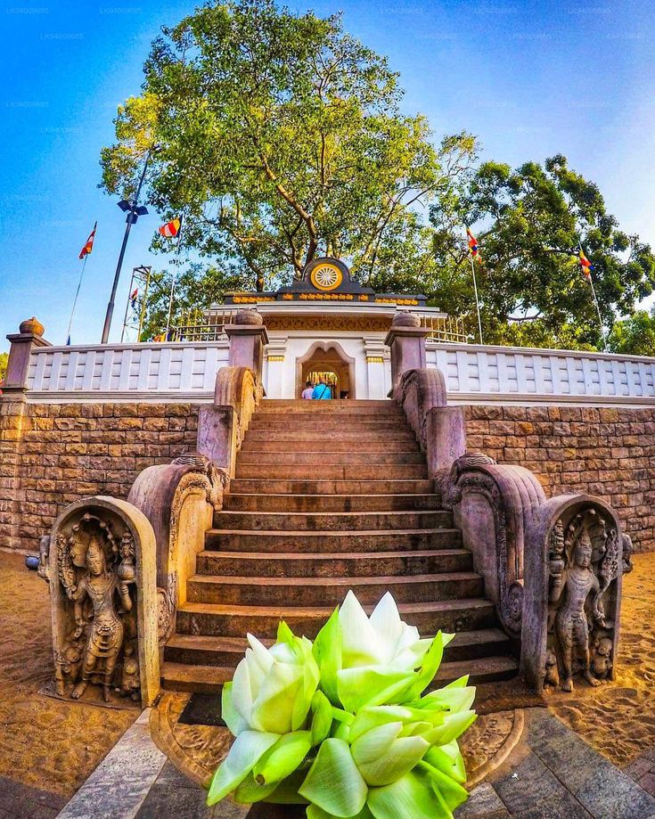 2a7396b69fbbf6cfc41442b337409bbe