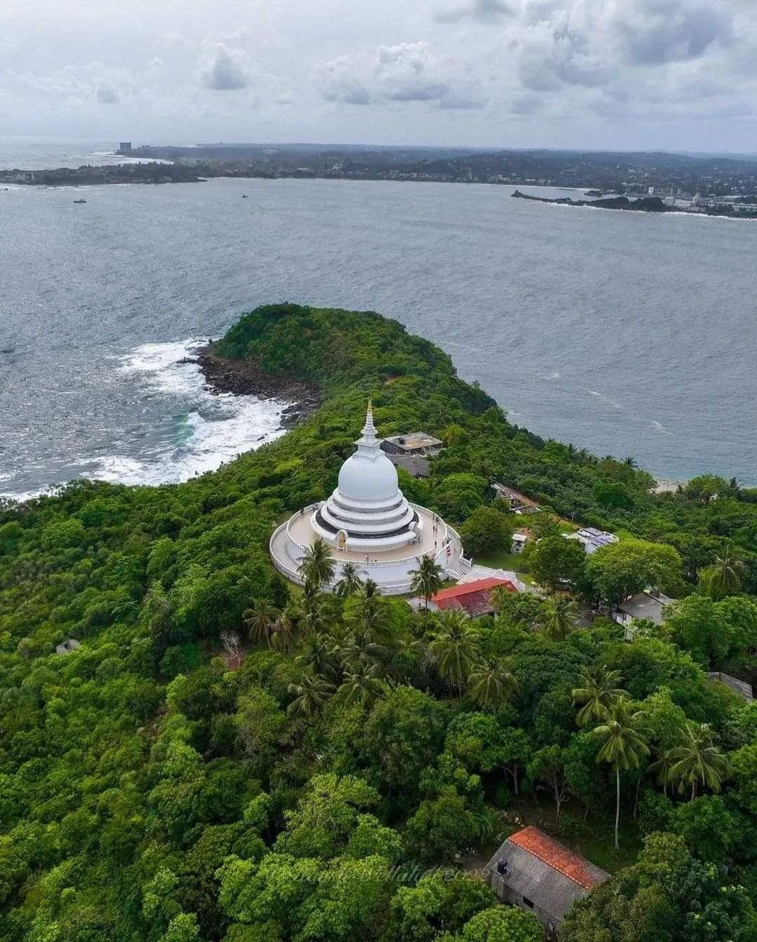 54b2b587a55c54f60402c131a20cea55