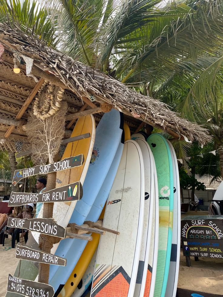 64d8c799ba8538d76ed25b59519a5455