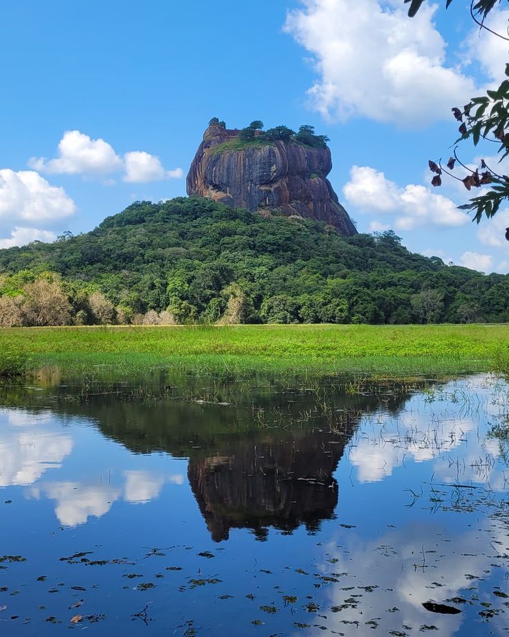 8a989f0b0595d08cb44eb9ebe03ca250