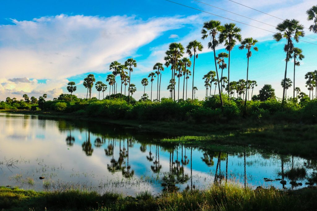Jaffna,_srilanka