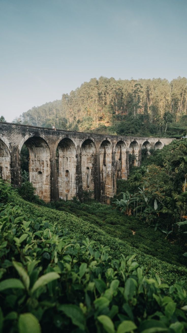 adca85136d37ce2af6748fe0f9cbd9ad