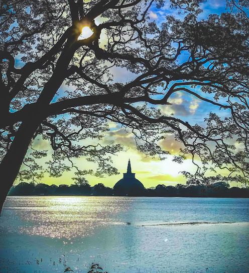 c35a2e79ae86eeb4a7304be9a16e88c5