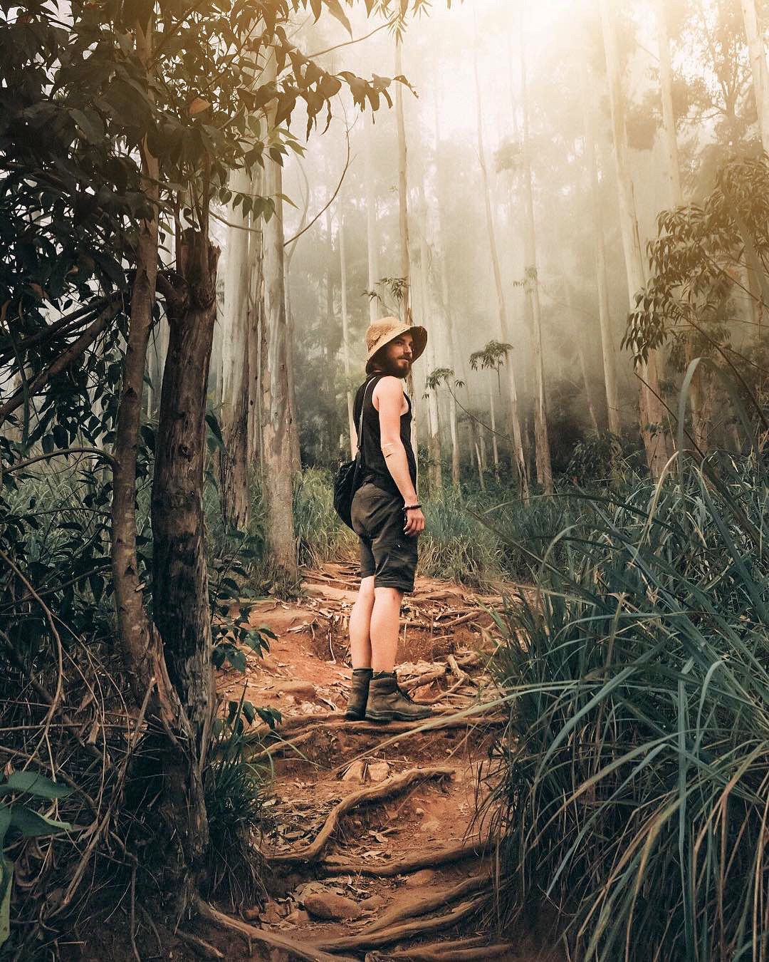 cc06df6ac15584a54369b9eb5fb186bb