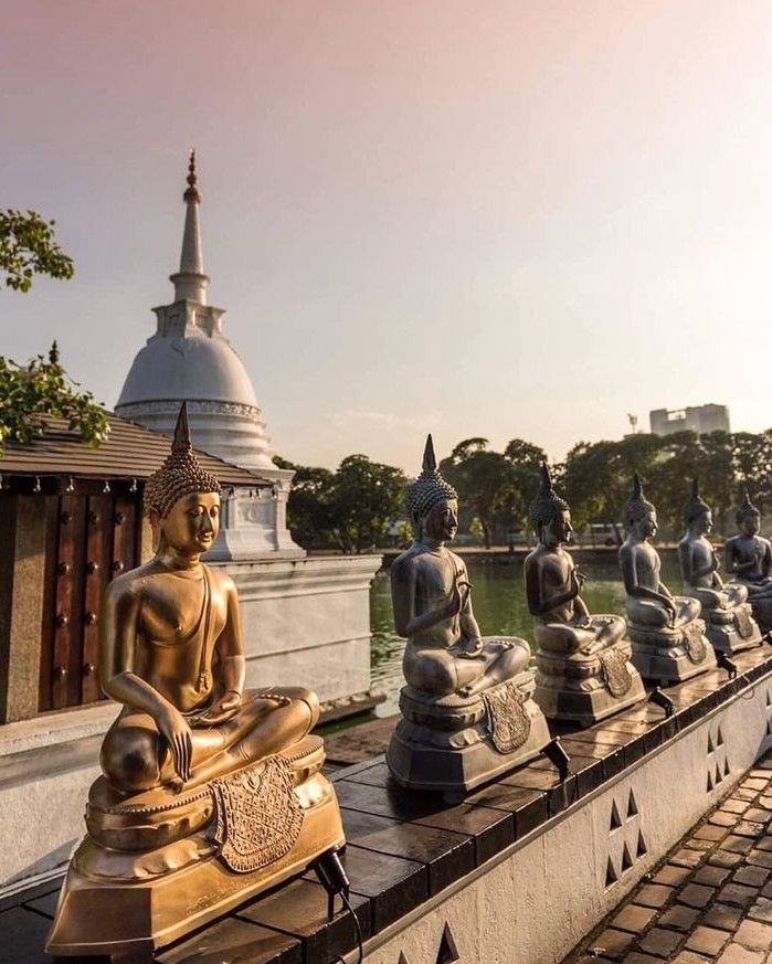 e2a41dfdc78d836264e9830de4ac75b3